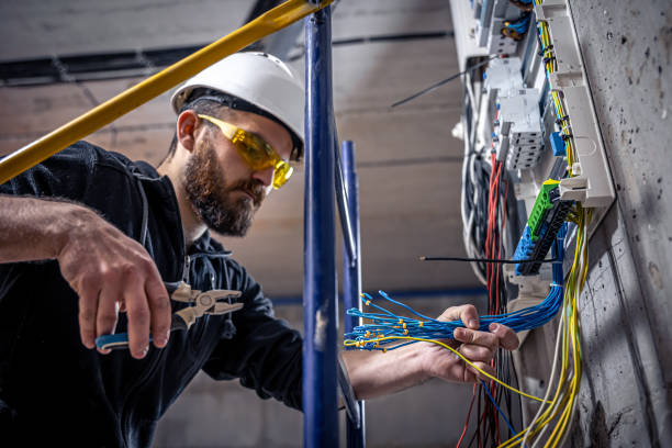 Best Affordable Electrician  in Desoto Lakes, FL