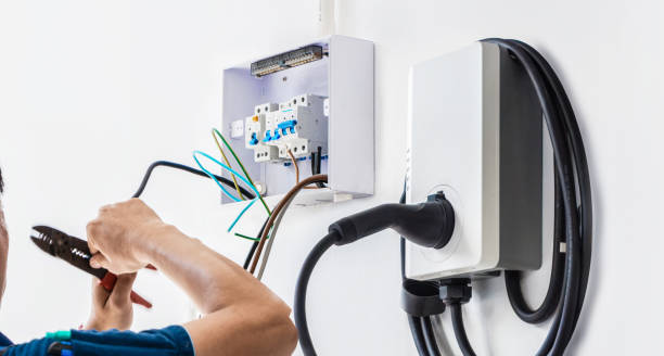 Best Local Electrician Companies  in Desoto Lakes, FL