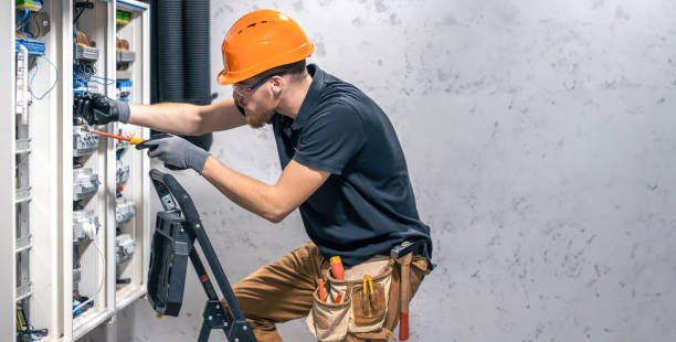Best Electric Panel Repair  in Desoto Lakes, FL